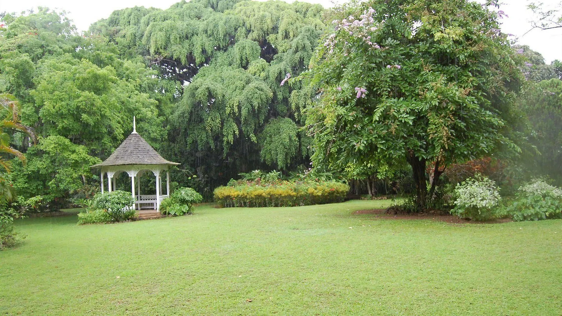 Szálloda Inn At Shaw Park Gardens & Waterfalls Ocho Rios
