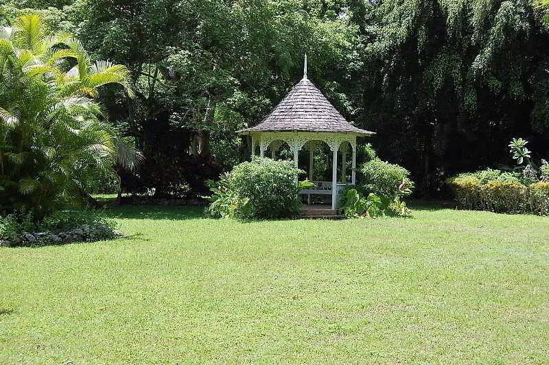 Inn At Shaw Park Gardens & Waterfalls أوشو ريوس جامايكا